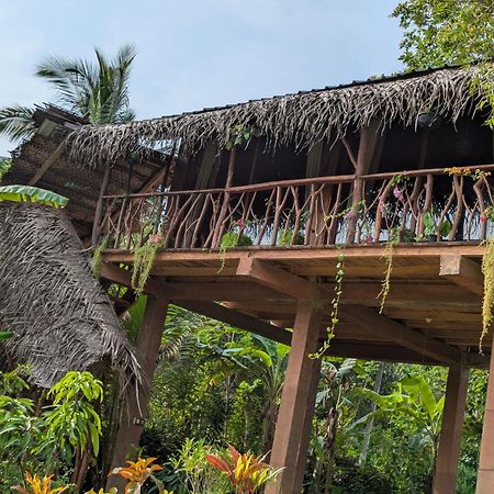Villa Sigiriya Rock View Tree House Esterno foto