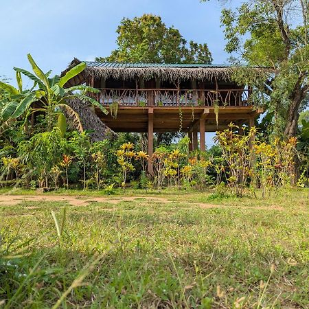 Villa Sigiriya Rock View Tree House Esterno foto
