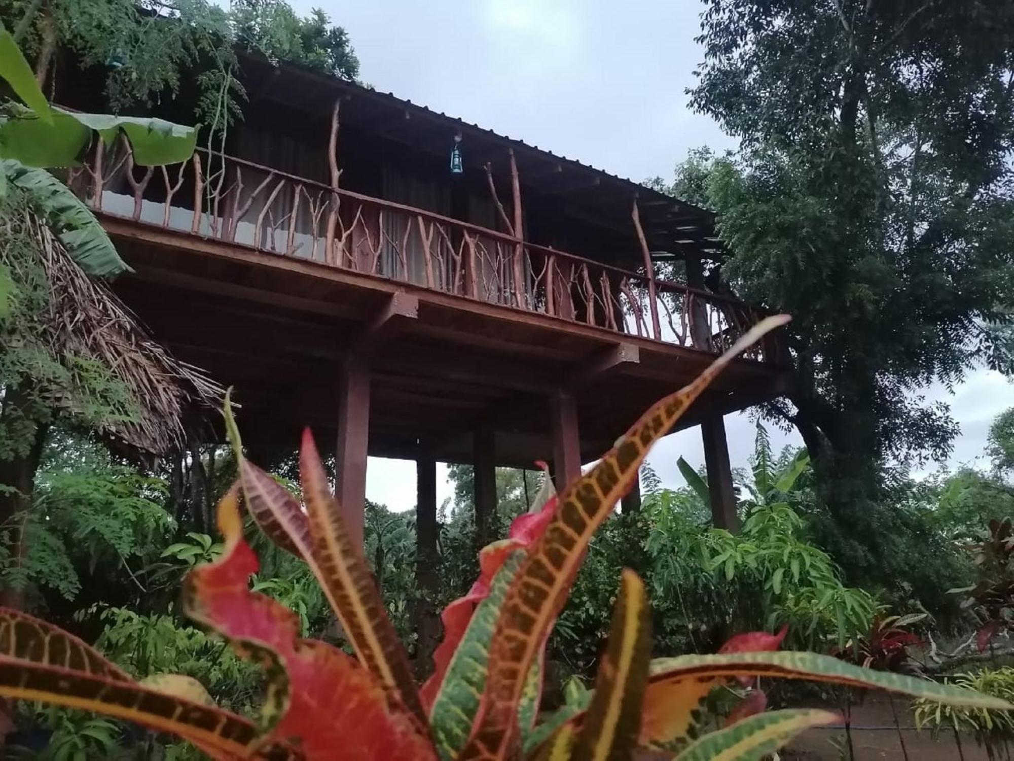 Villa Sigiriya Rock View Tree House Esterno foto