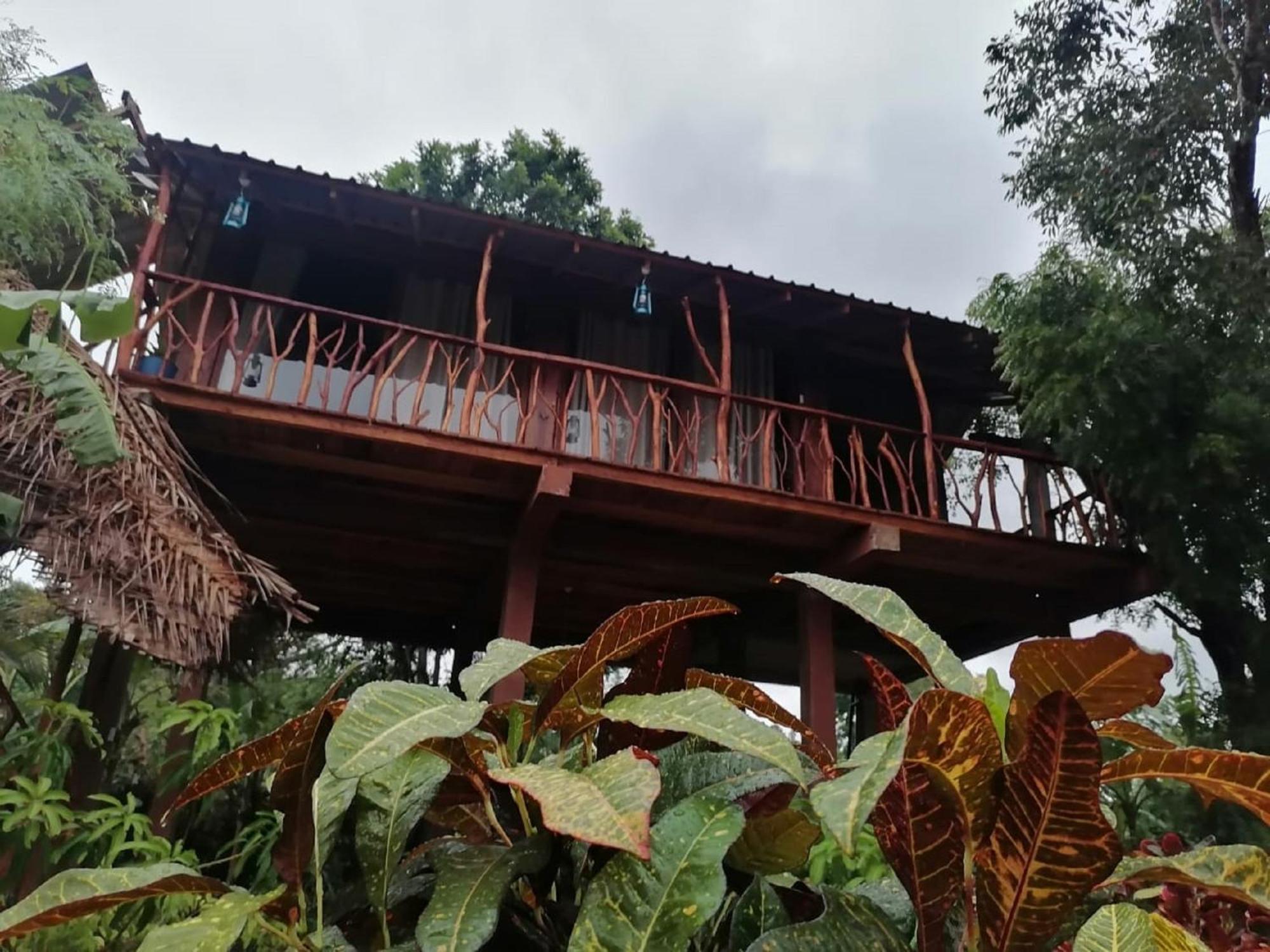 Villa Sigiriya Rock View Tree House Esterno foto