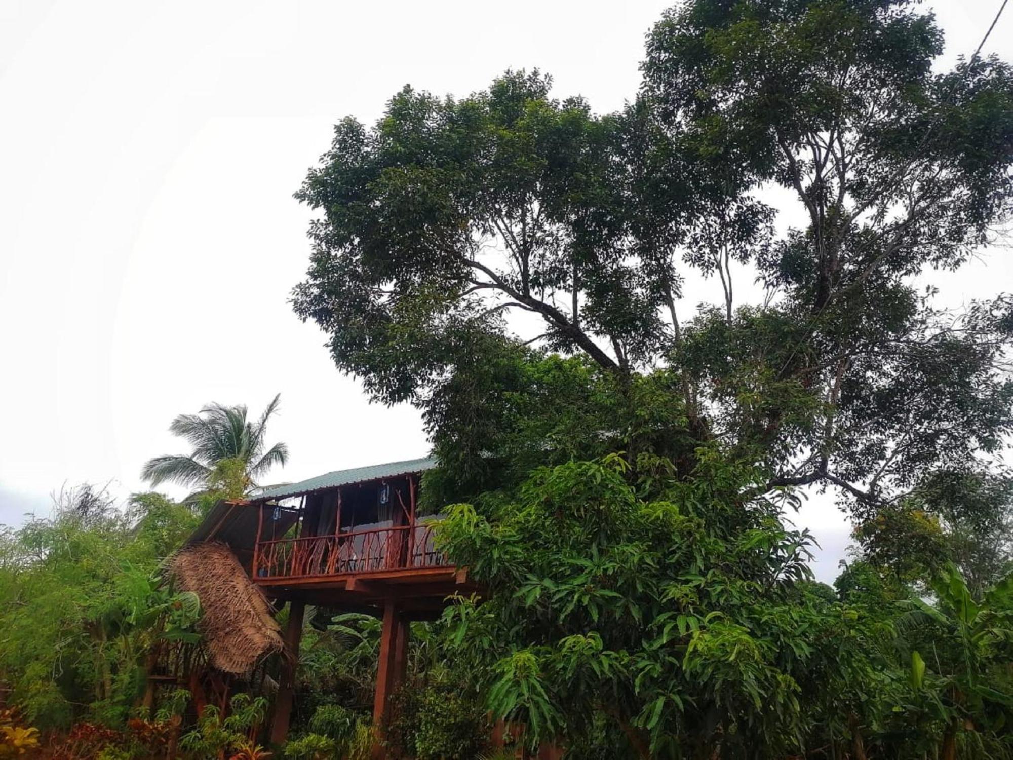 Villa Sigiriya Rock View Tree House Esterno foto